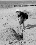 Foto Nordseestrand